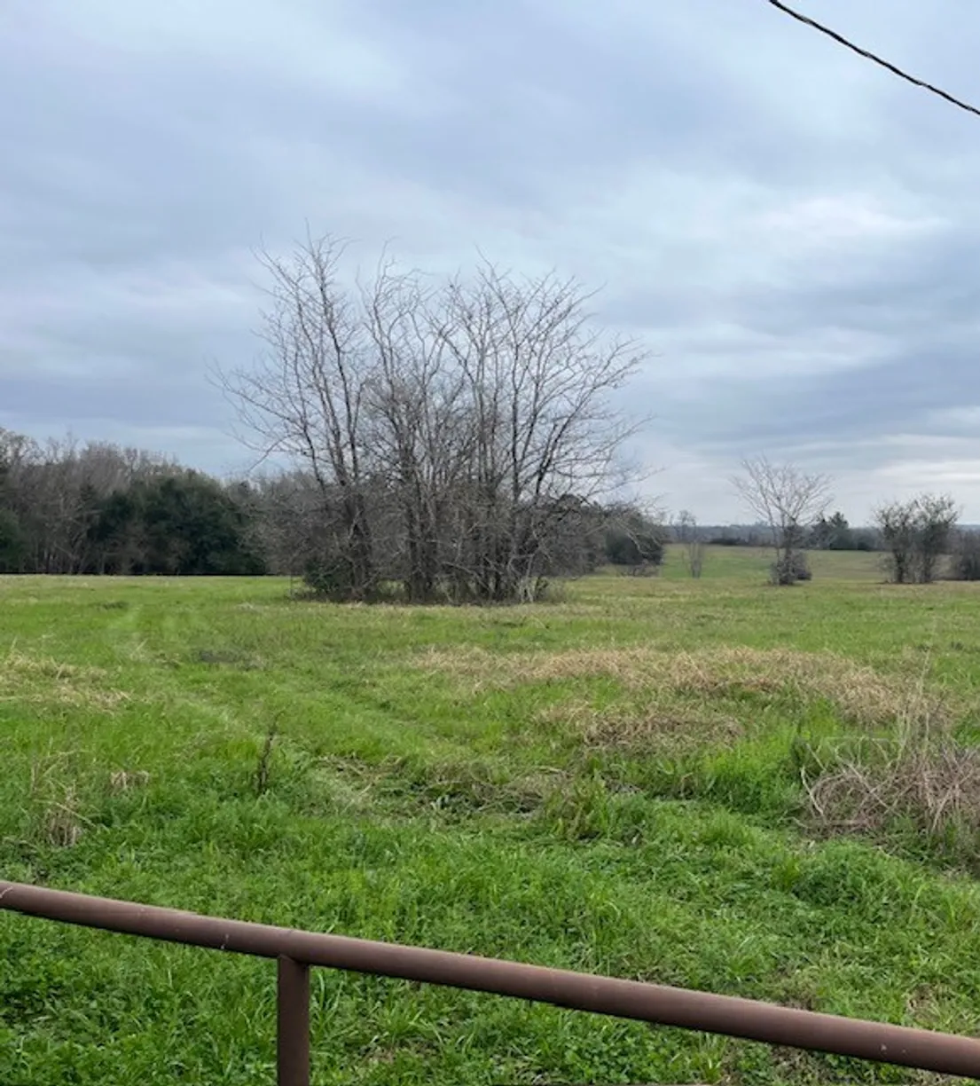 Houston Real Estate | View 14212 Longstreet Road | Listing