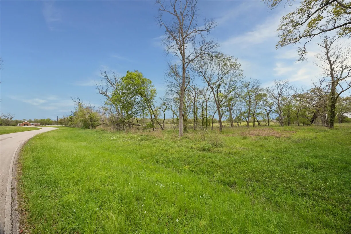 Houston Real Estate | View 16219 Tankersley Drive | Listing