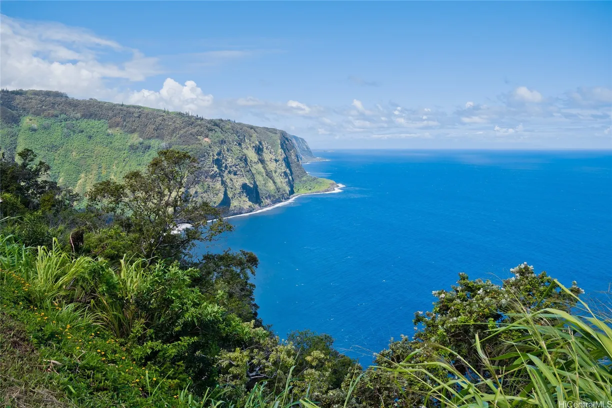 Hawaii Real Estate | View 48-5528 Honokaa Waipio Road | Listing