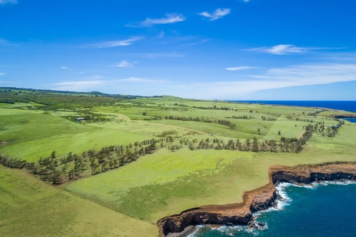 Hawaii Real Estate | View HOEA RD