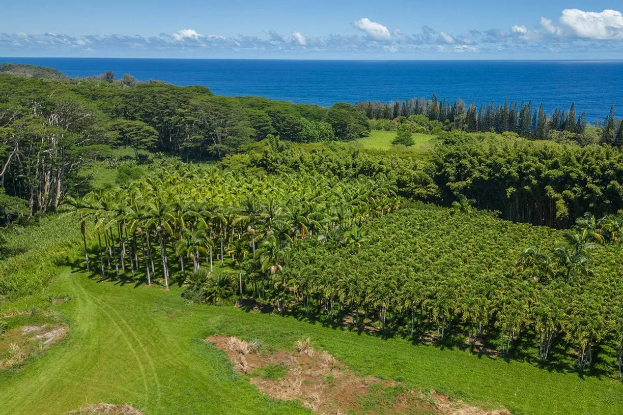 Hawaii Real Estate | View 28-1829 OLD MAMALAHOA HWY | Listing