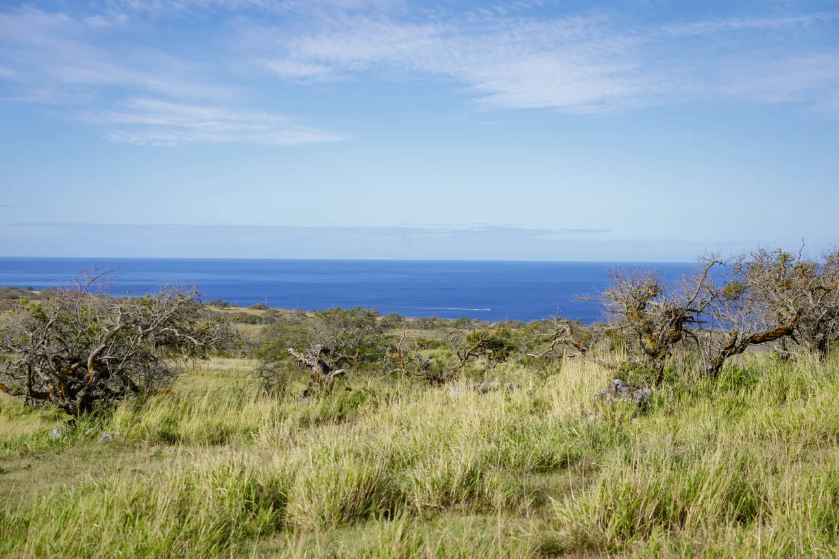 Hawaii Real Estate | View LAHUIKI PL, lot 9 | Listing