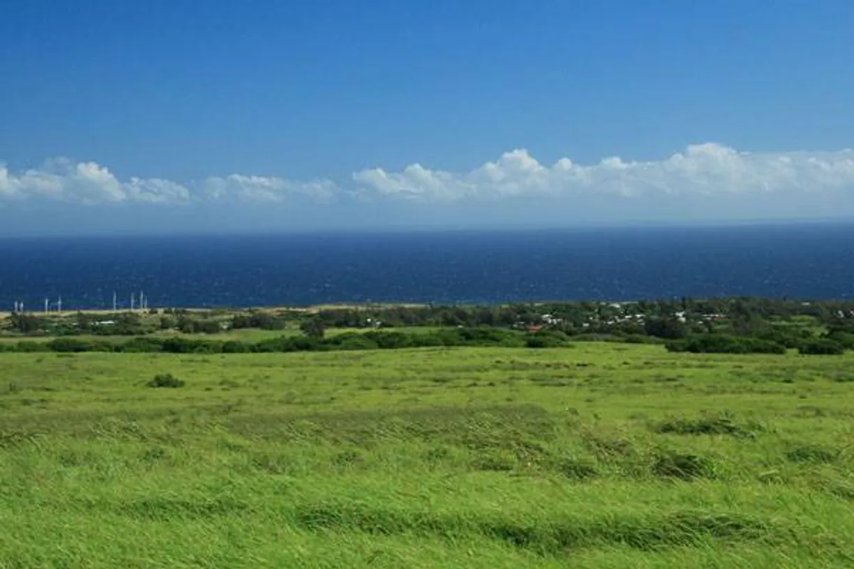 Hawaii Real Estate | View KAPAA - UPOLU | Listing