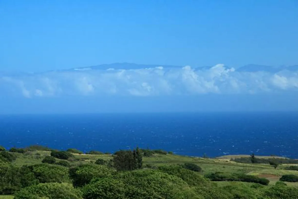 Hawaii Real Estate | View KAPAA - UPOLU