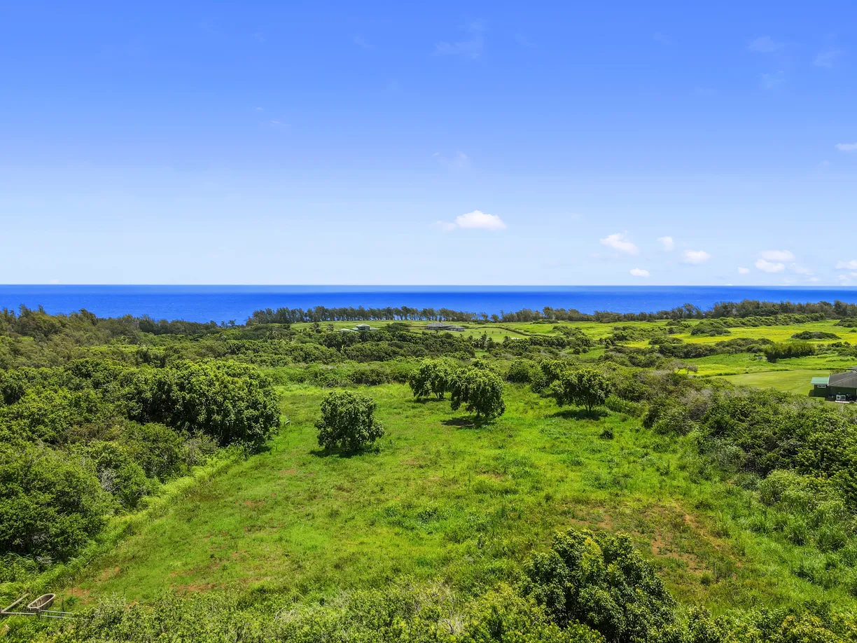 Hawaii Real Estate | View 53-338 KAPANAIA RD