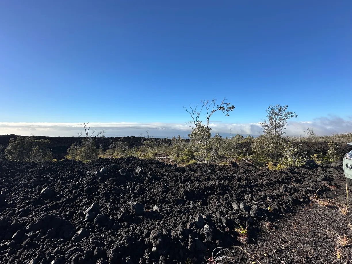 Hawaii Real Estate | View OCEAN VIEW PKWY