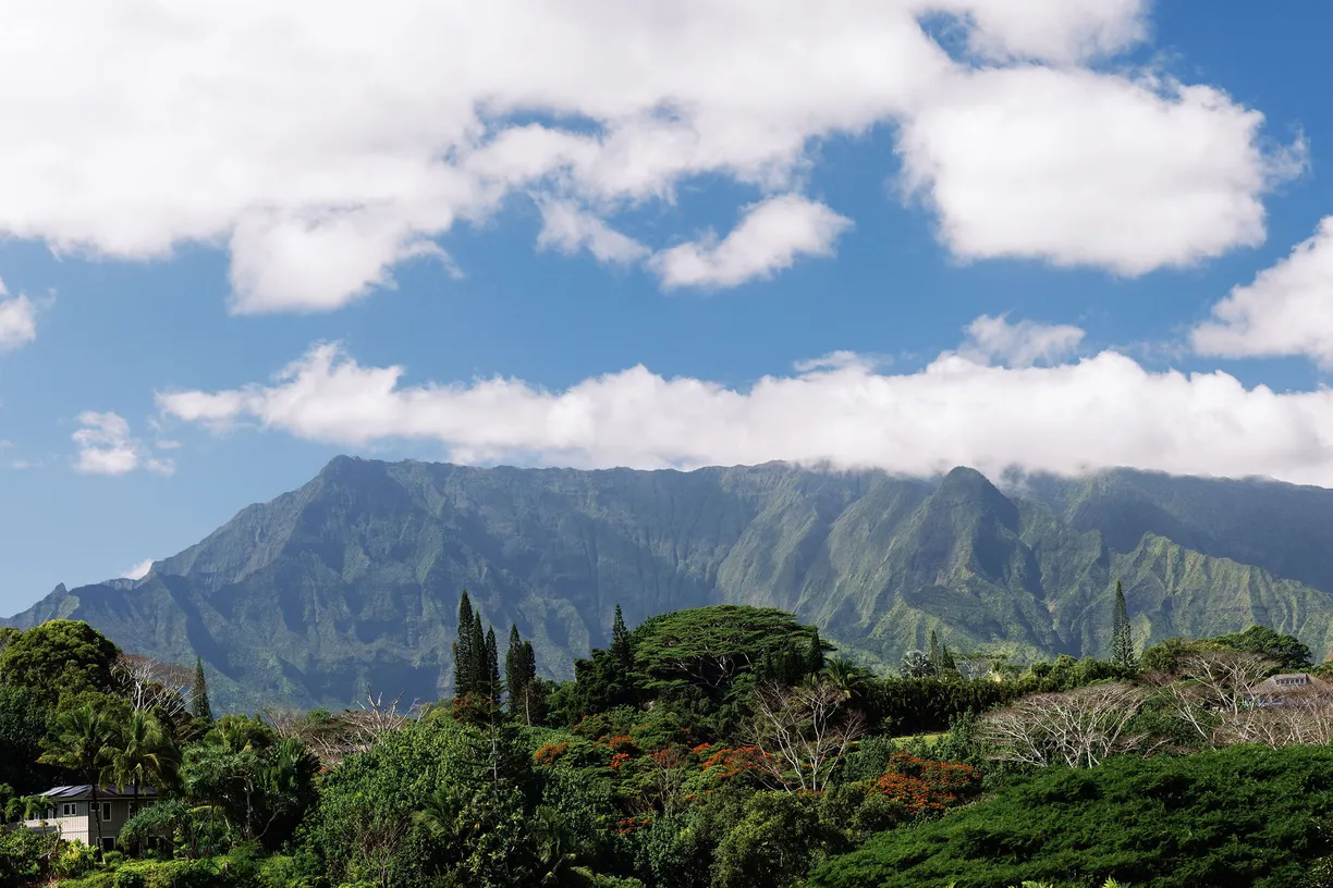 Hawaii Real Estate | View 6546-D KUAMOO RD, 3