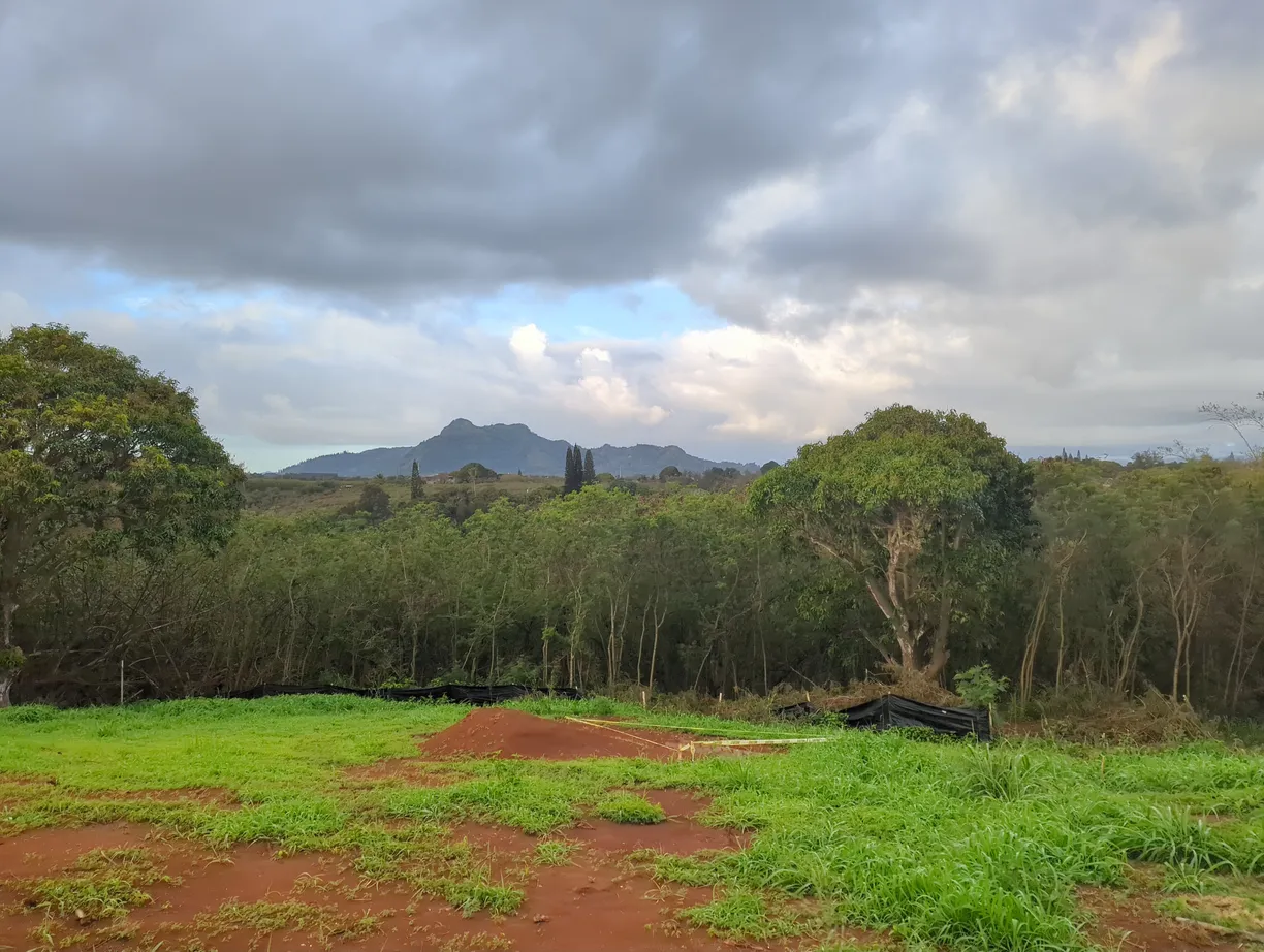Hawaii Real Estate | View LANI RD