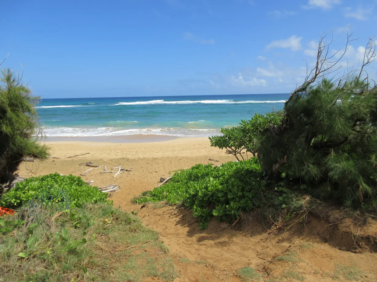 Hawaii Real Estate | View 4460 NEHE RD, 118 | Listing