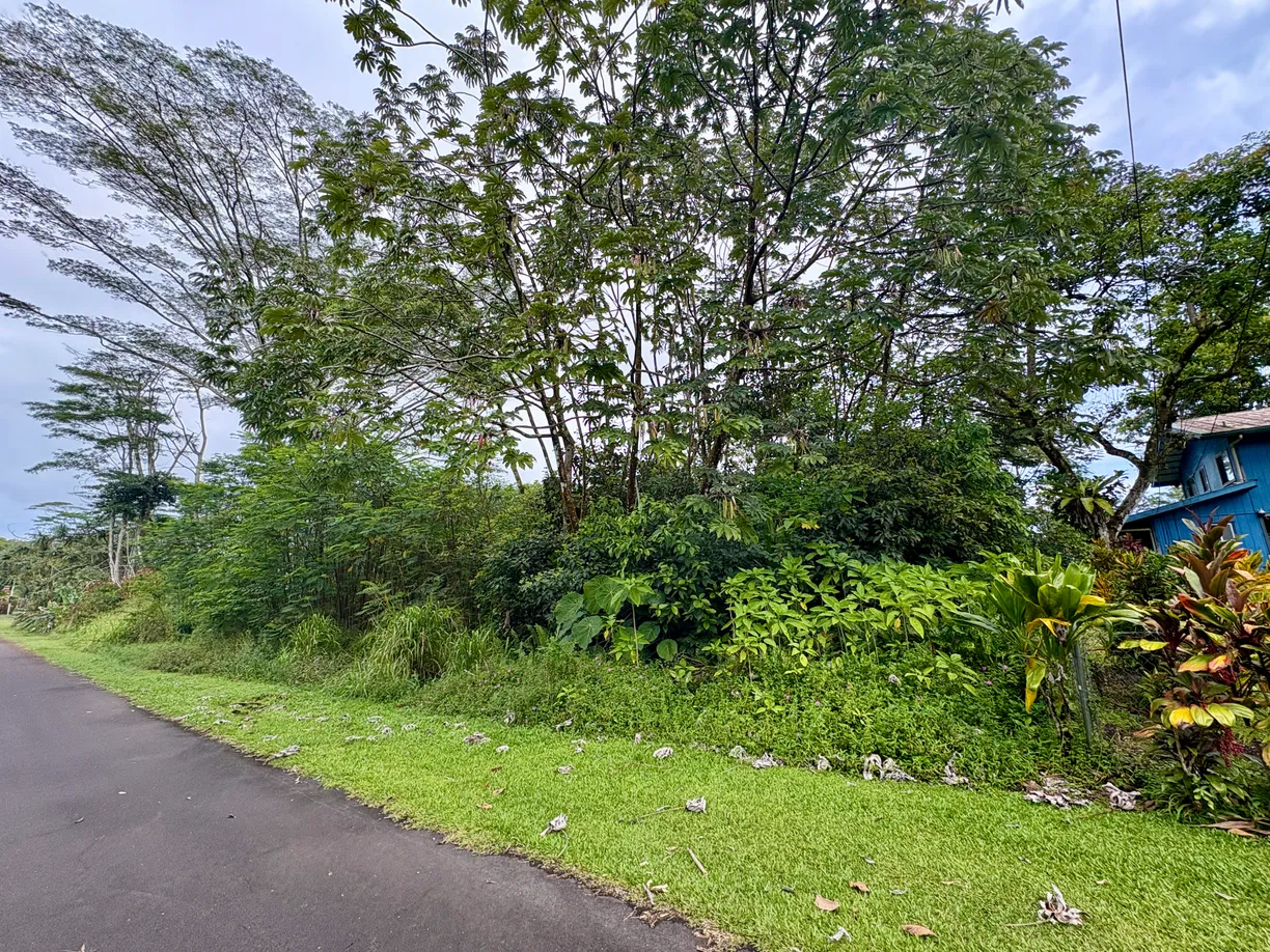 Hawaii Real Estate | View NEHU ST