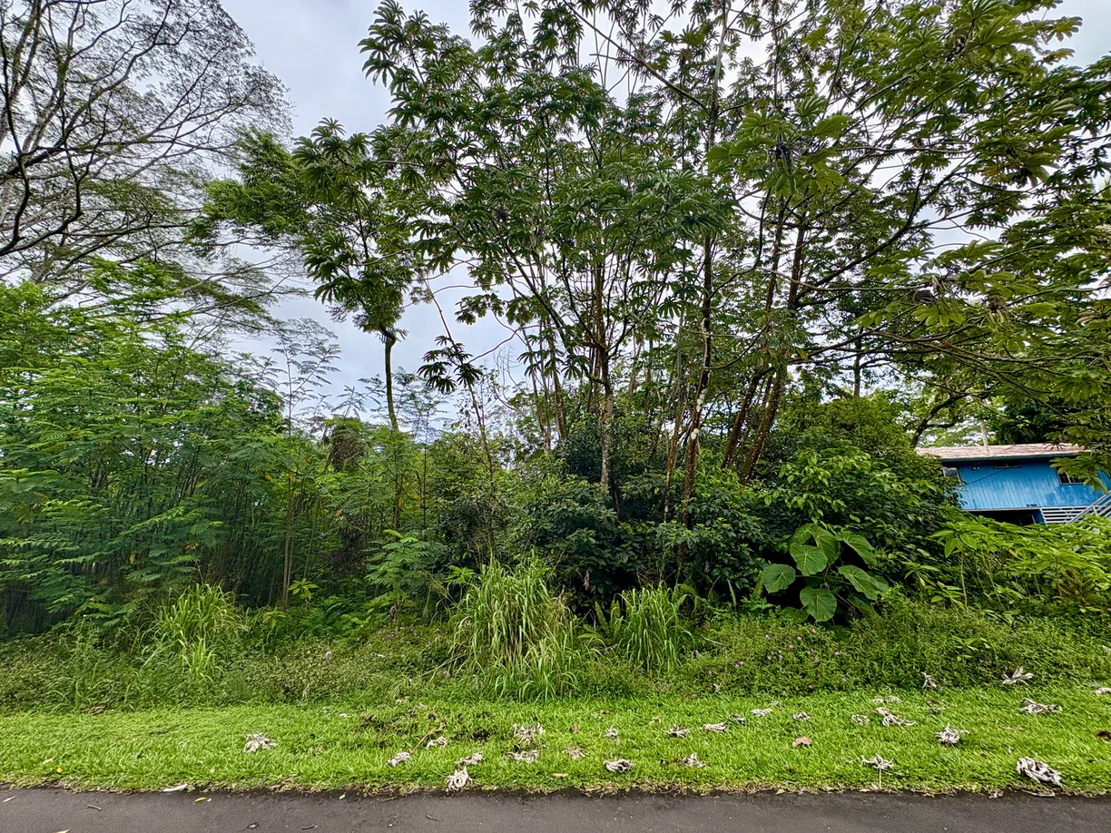 Hawaii Real Estate | View NEHU ST | Listing