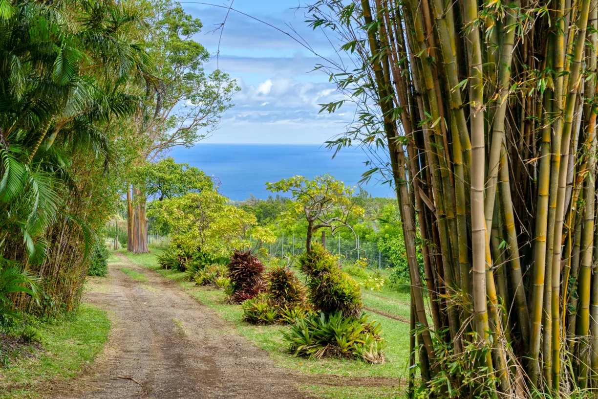 Hawaii Real Estate | View 55-2251 KYNNERSLEY RD | Listing