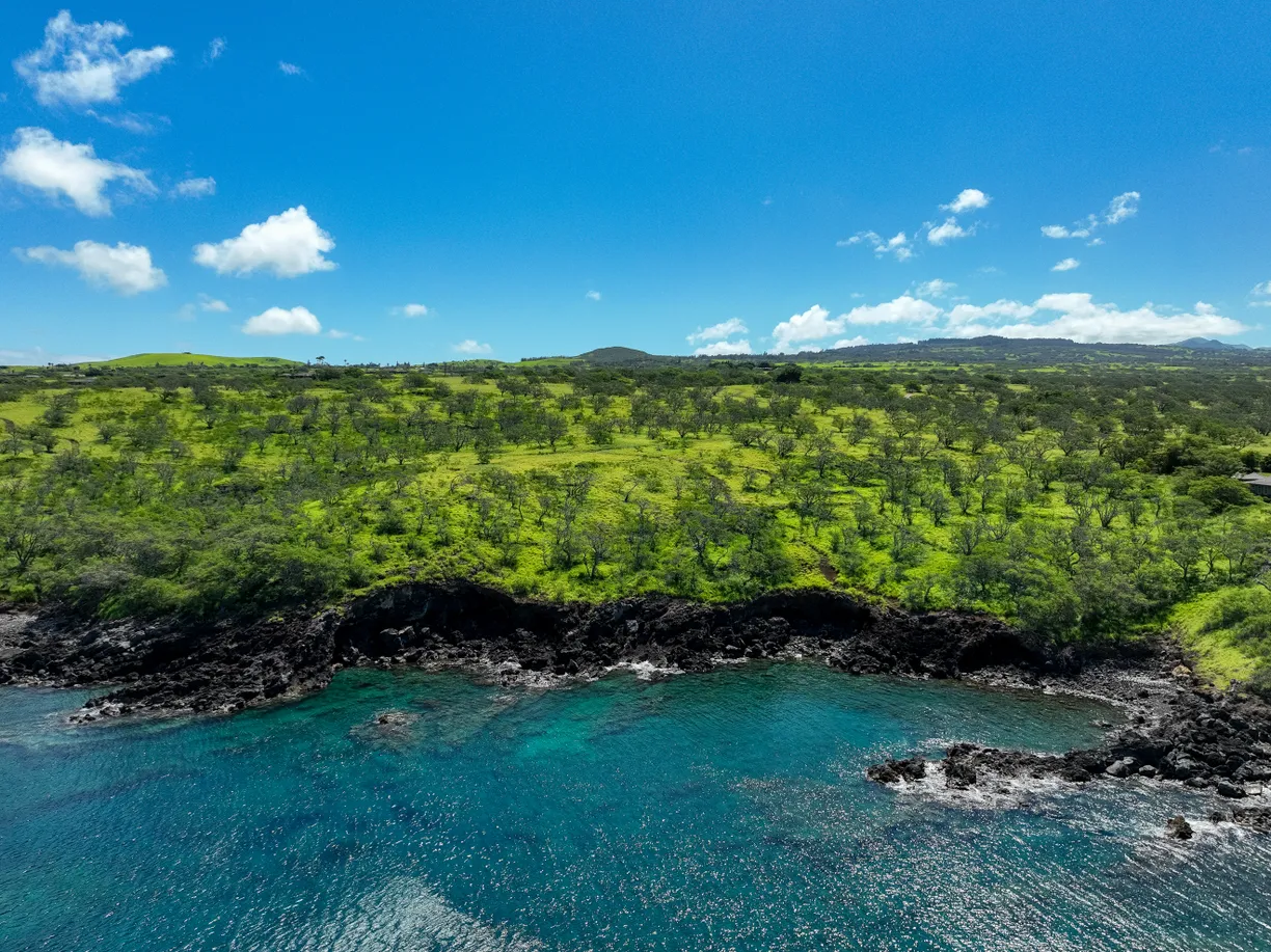 Hawaii Real Estate | View 56-101 PUALANI RD | Listing