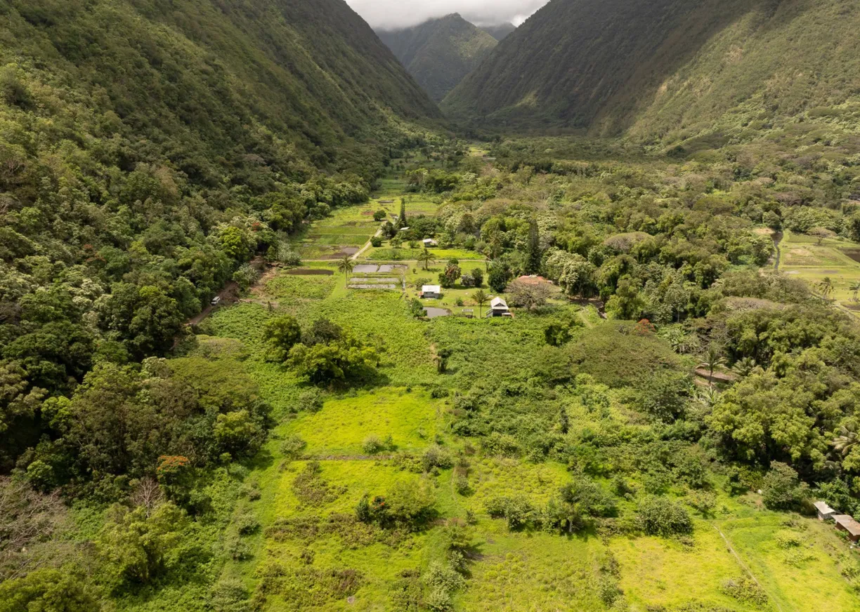 Hawaii Real Estate | View WAIPIO VALLEY RD | Listing