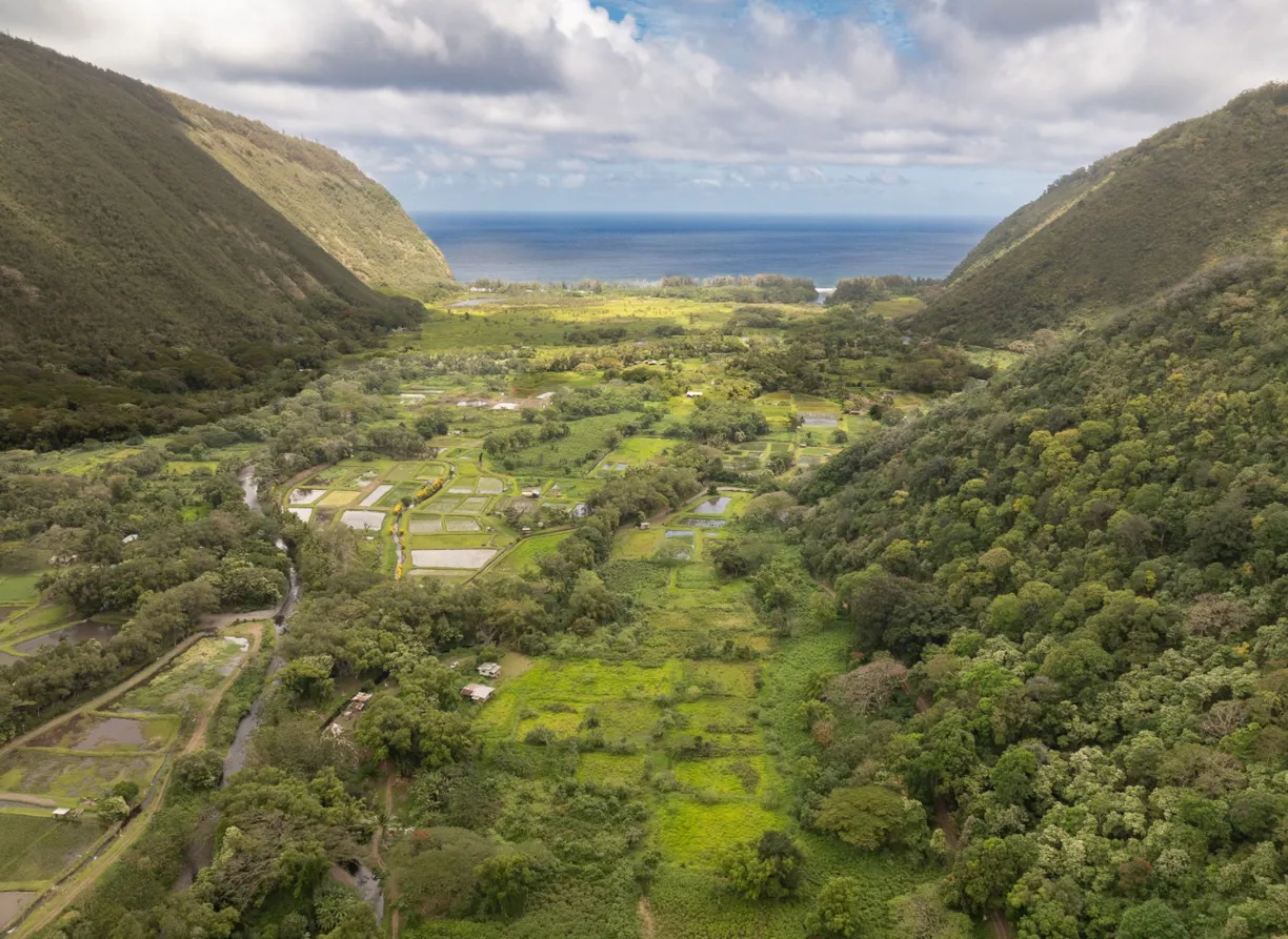 Hawaii Real Estate | View WAIPIO VALLEY RD