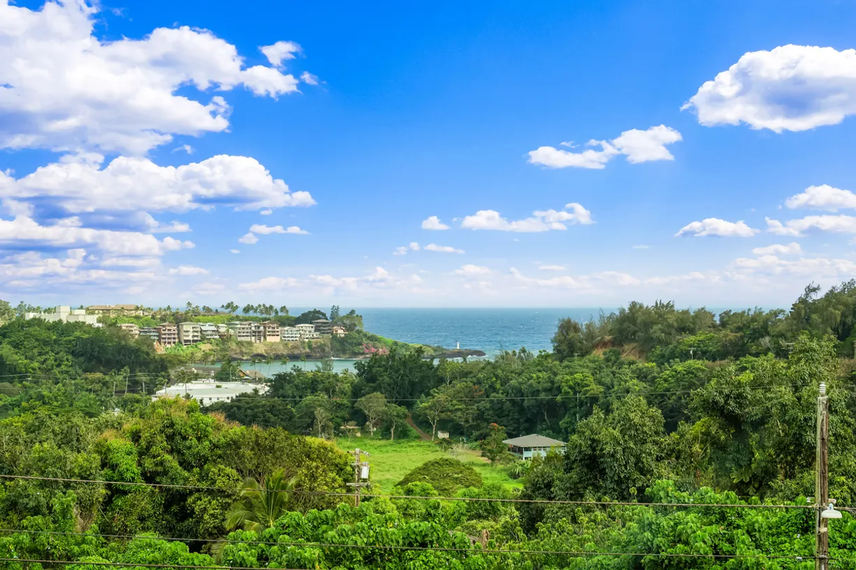 Hawaii Real Estate | View 2819 KAPENA ST | 3 Beds, 2 Baths