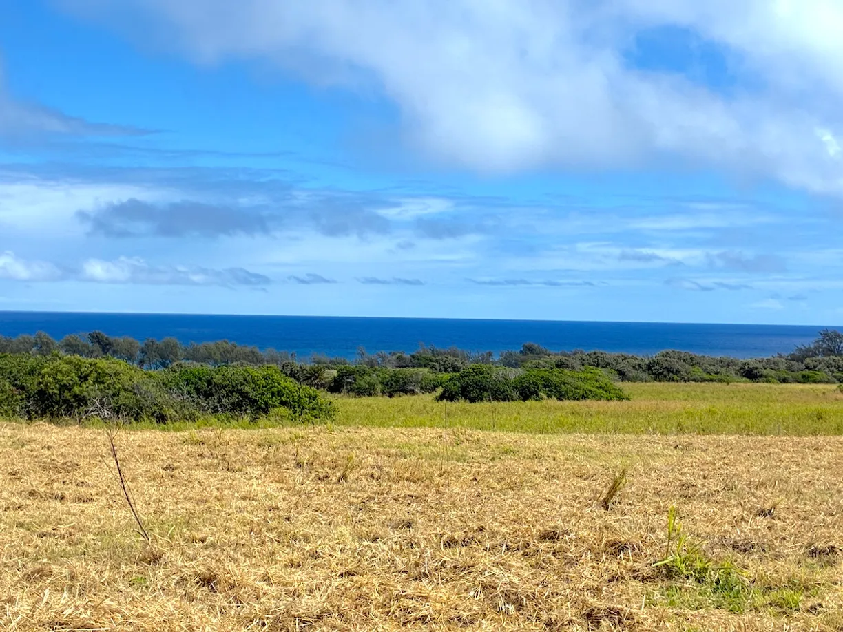 Hawaii Real Estate | View AKONI PULE HWY