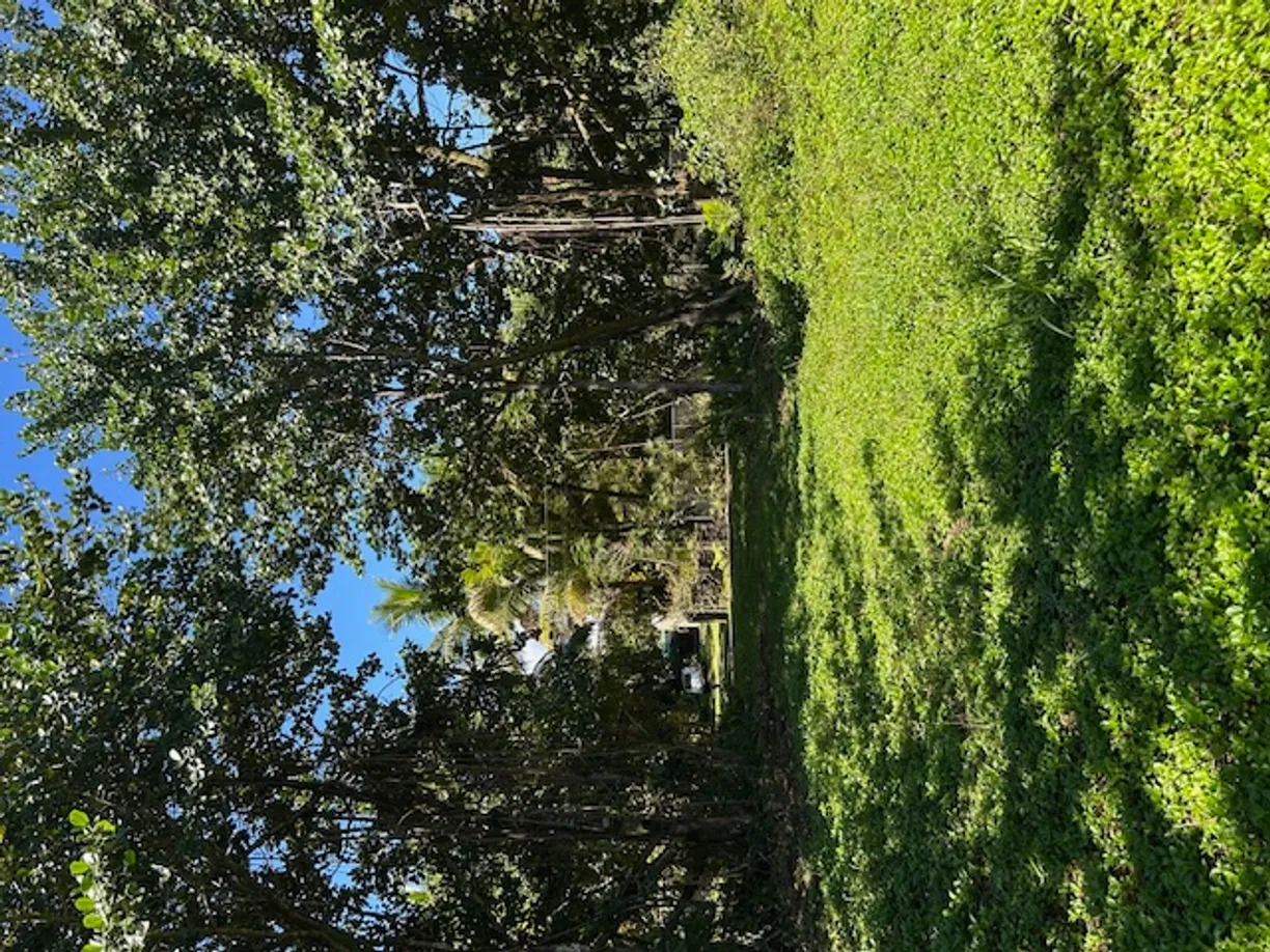 Hawaii Real Estate | View KIAWE RD | Listing