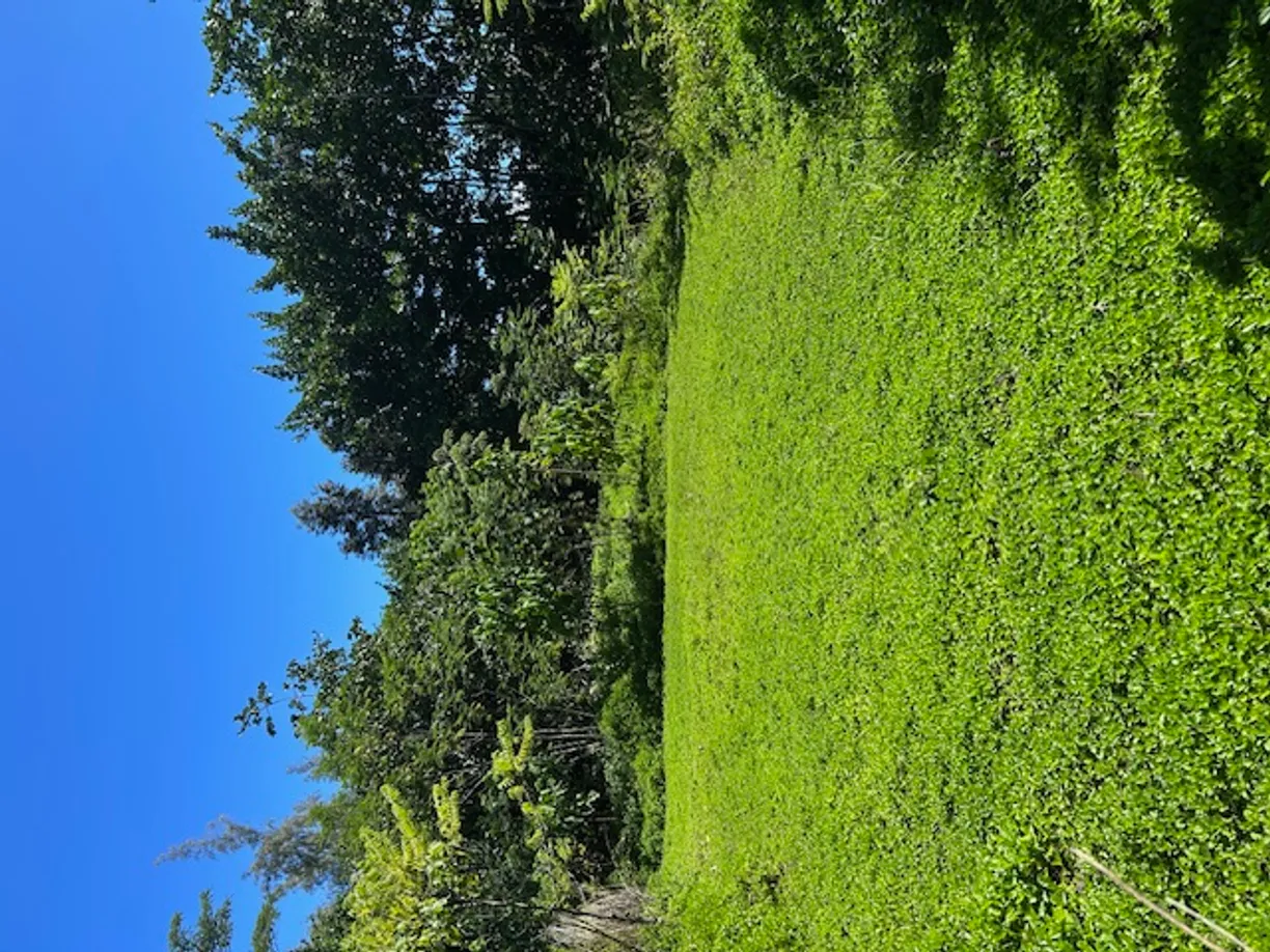 Hawaii Real Estate | View KIAWE RD
