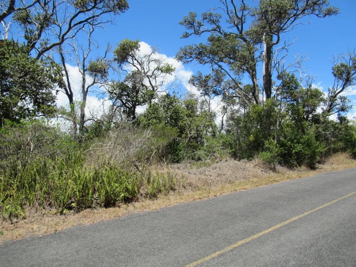 Hawaii Real Estate | View BAMBOO LANE | Listing