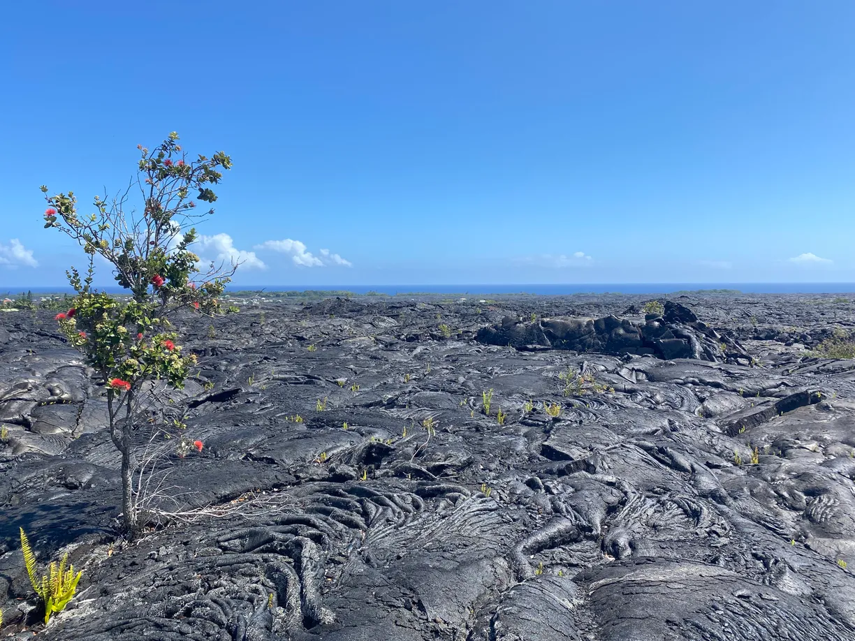 Hawaii Real Estate | View KAIMU-CHAIN OF CRATERS RD | Listing