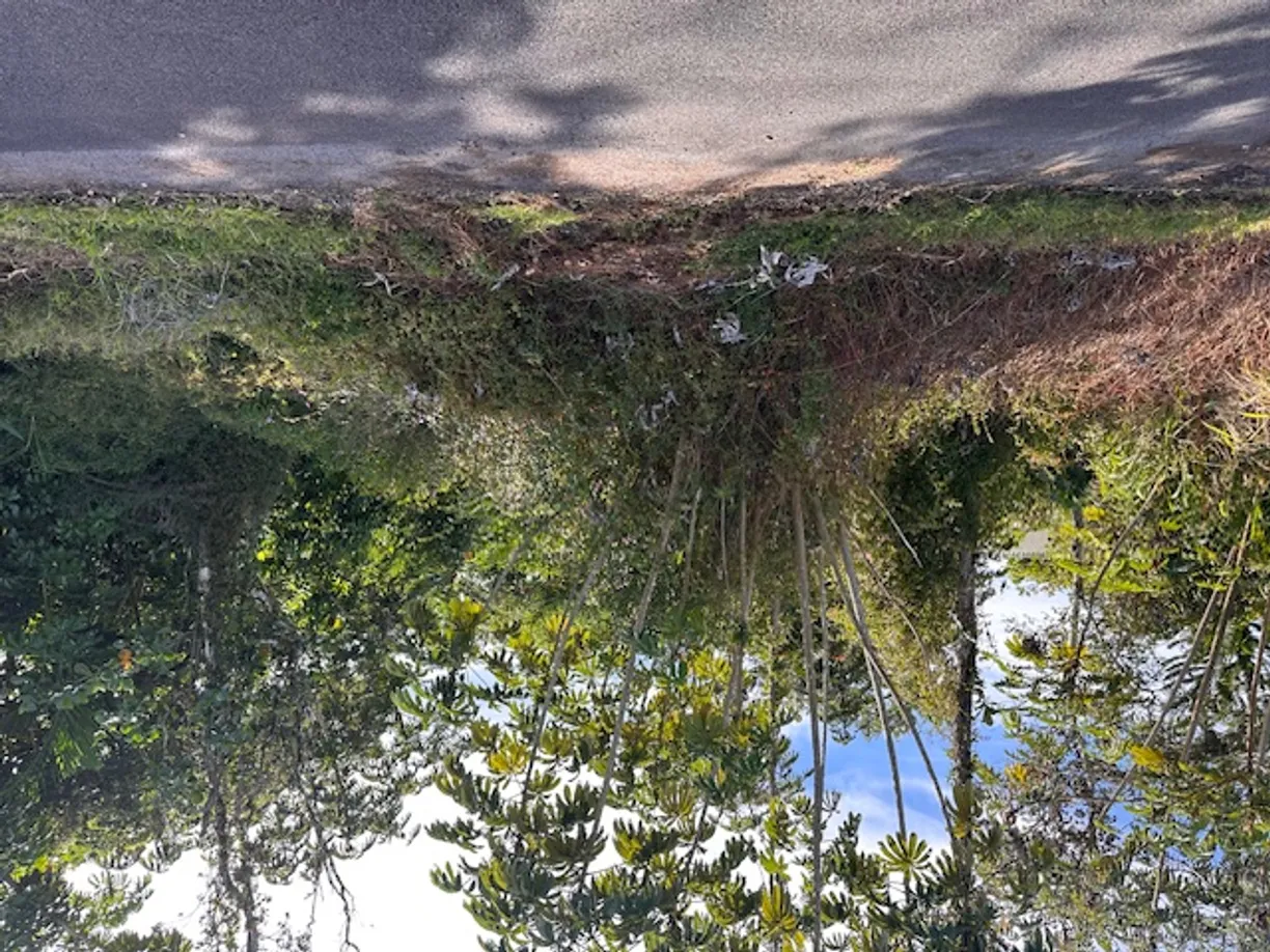 Hawaii Real Estate | View MAUNA KEA DR