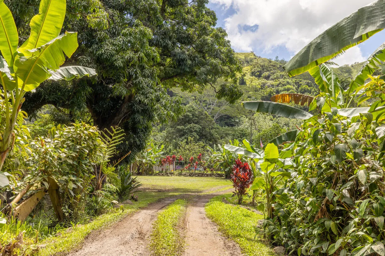 Hawaii Real Estate | View WAINIHA | Listing