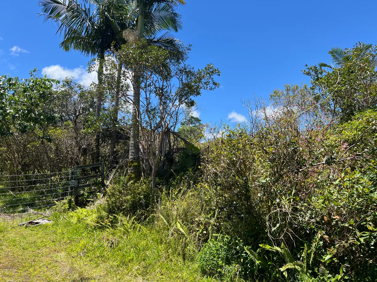 Hawaii Real Estate | View SOUTH RD | Listing