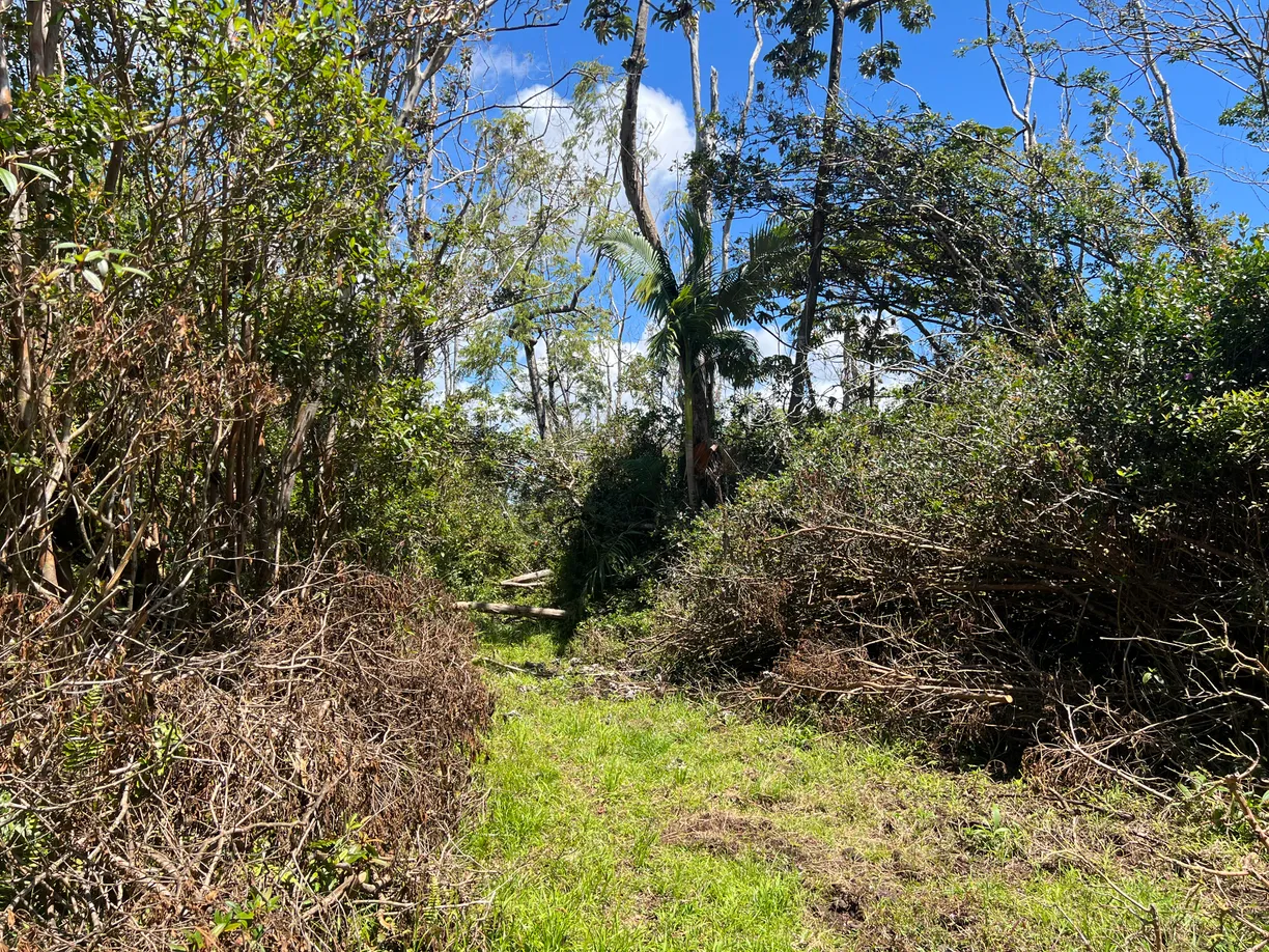 Hawaii Real Estate | View SOUTH RD | Listing