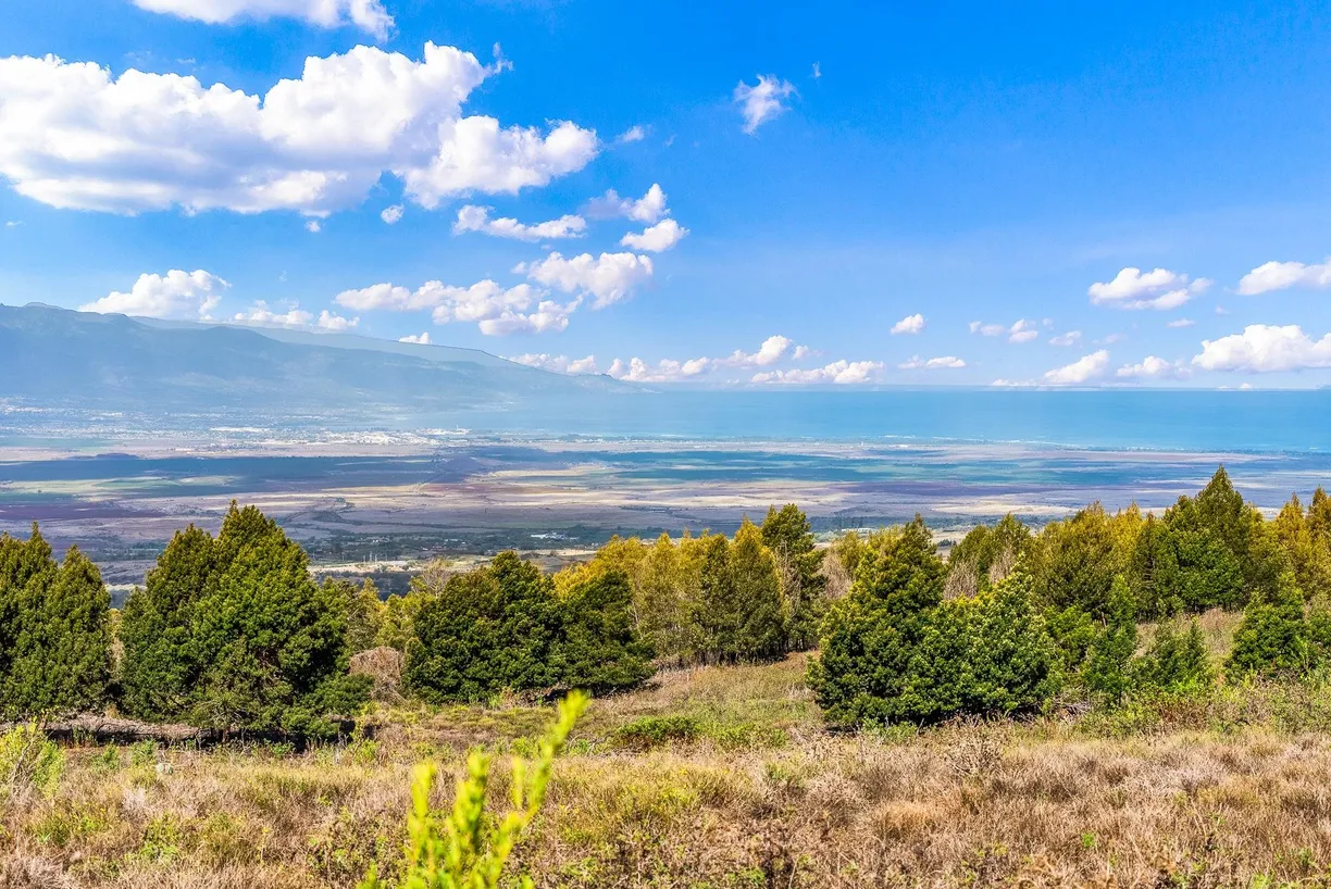 Hawaii Real Estate | View Kula Hwy | Listing