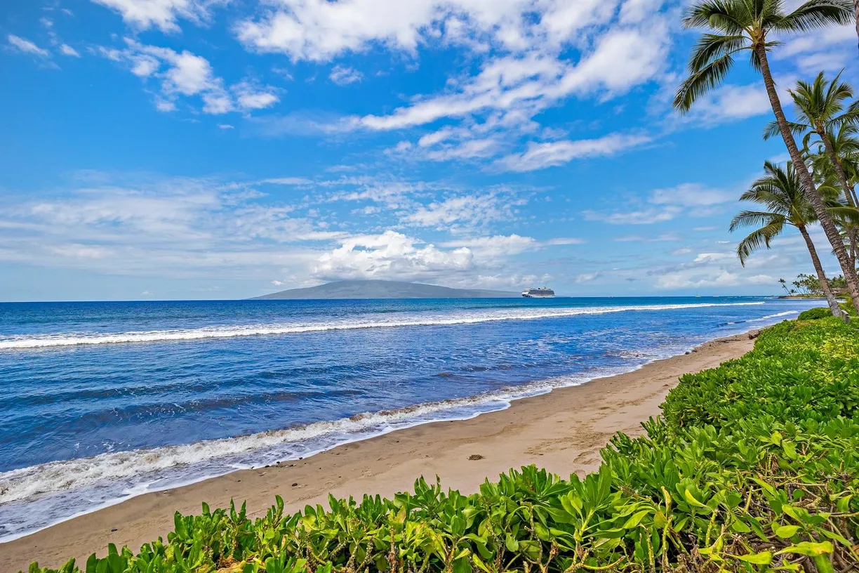Hawaii Real Estate | View 272 Pualei Dr, 272-3 | Listing
