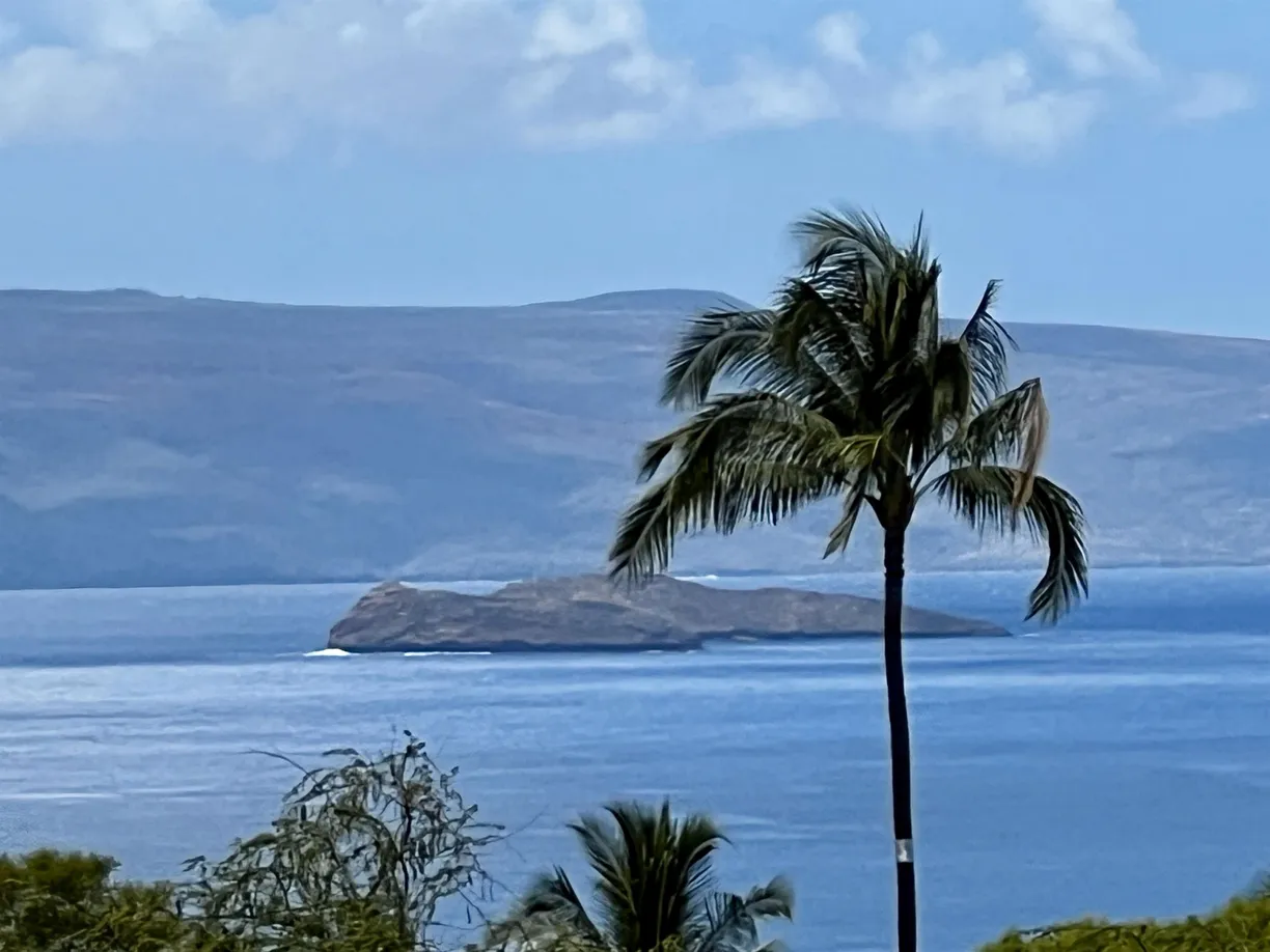 Hawaii Real Estate | View 10 Halapa Pl, 9 | Listing