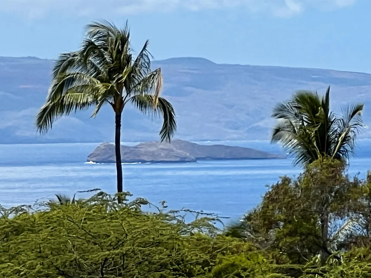 Hawaii Real Estate | View 10 Halapa Pl, 9