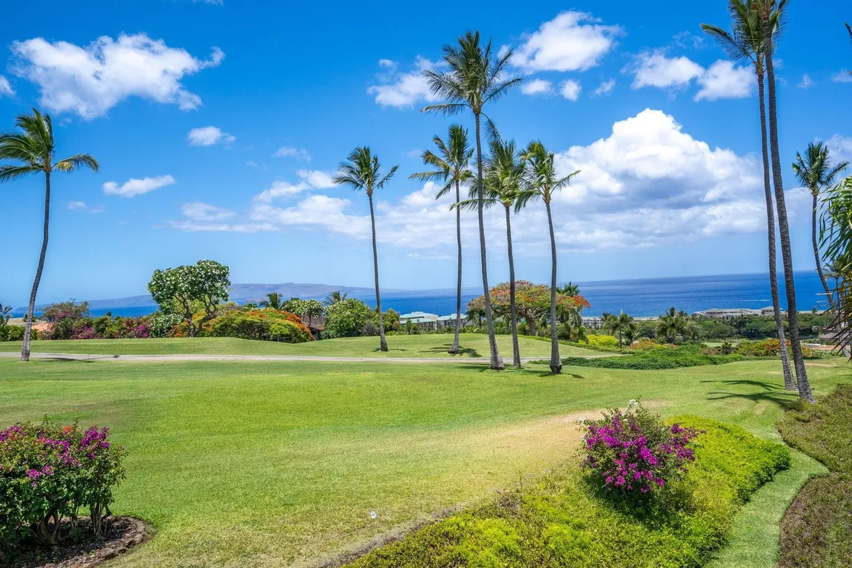 Hawaii Real Estate | View 10 Wailea Ekolu Pl, 1204 | Listing