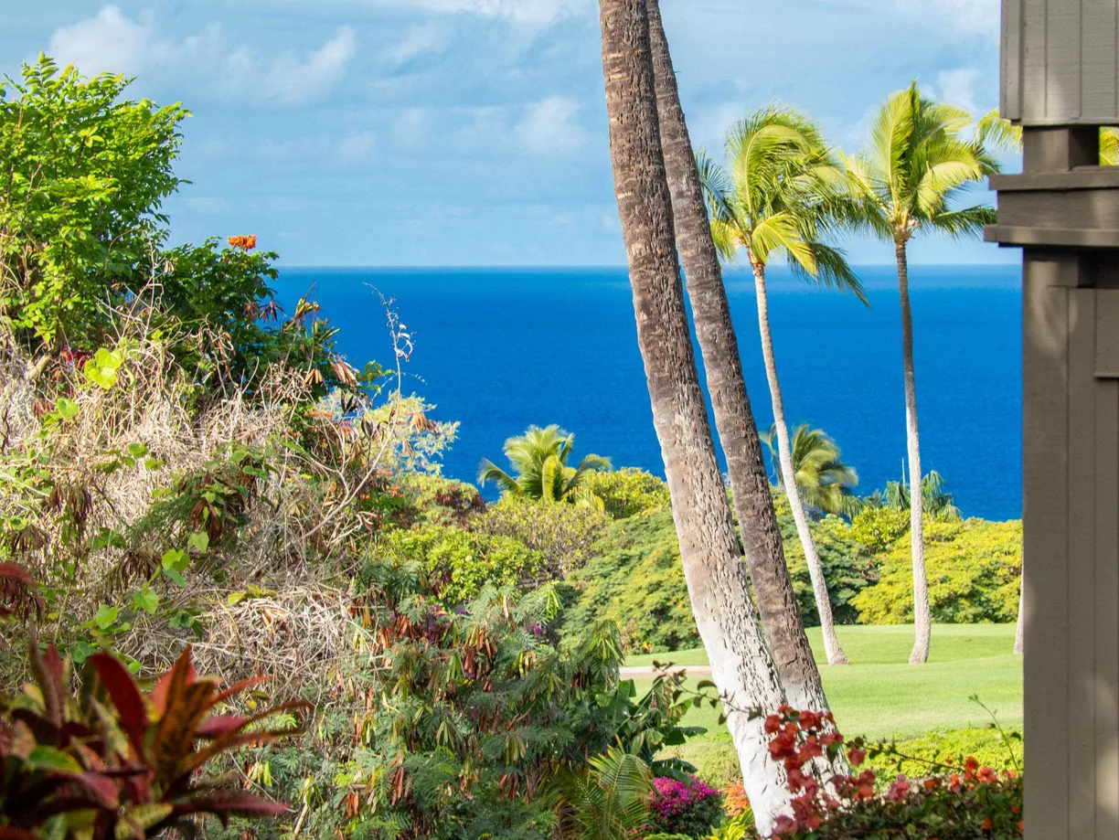 Hawaii Real Estate | View 10 Wailea Ekolu Pl, 1603 | Listing