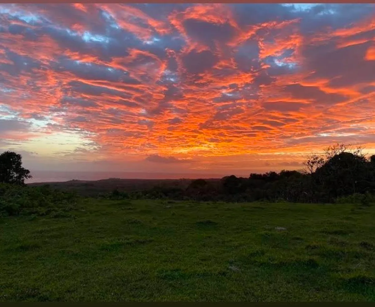 Hawaii Real Estate | View Lot 3-E Hana Hwy | Listing