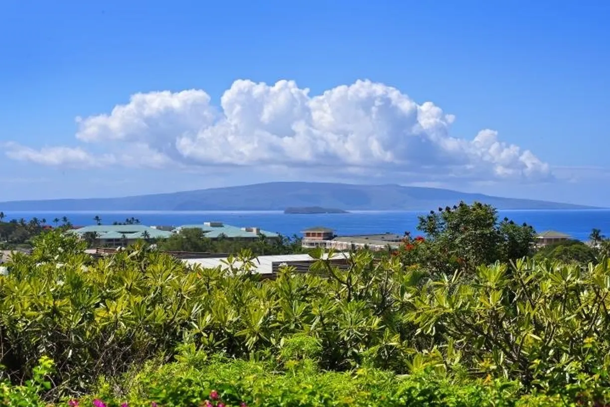 Hawaii Real Estate | View 10 Wailea Ekolu Pl, 105 | Listing