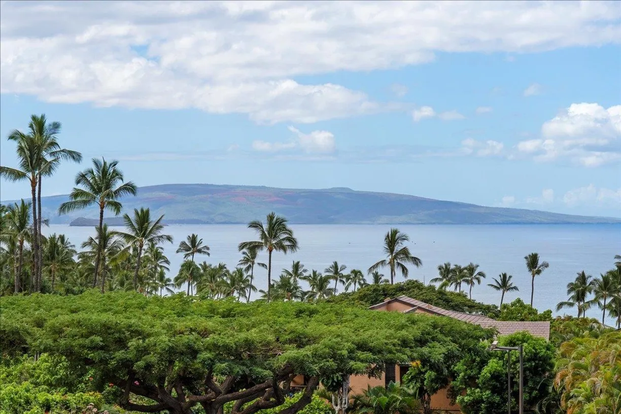 Hawaii Real Estate | View 3300 Wailea Alanui Dr, 17D | 1 Bed