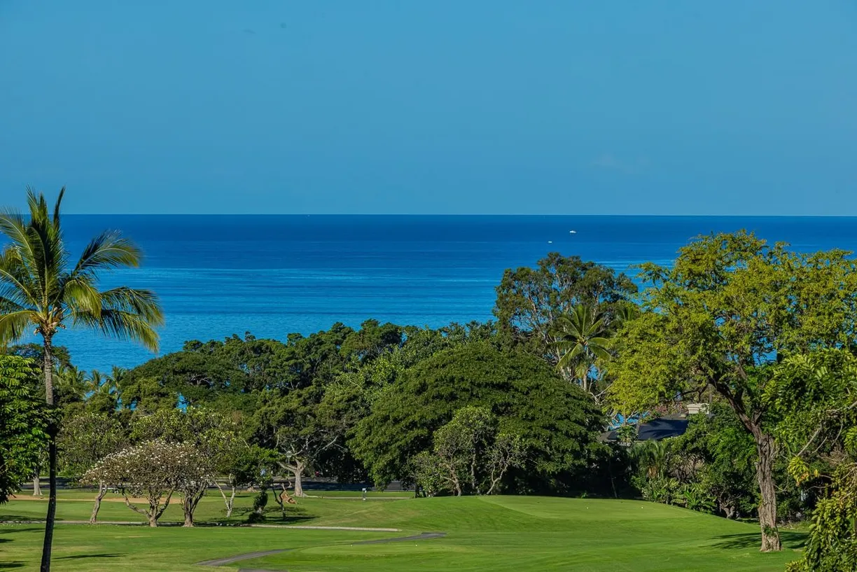 Hawaii Real Estate | View 155 Wailea Ike Pl, 92 | 1 Bed