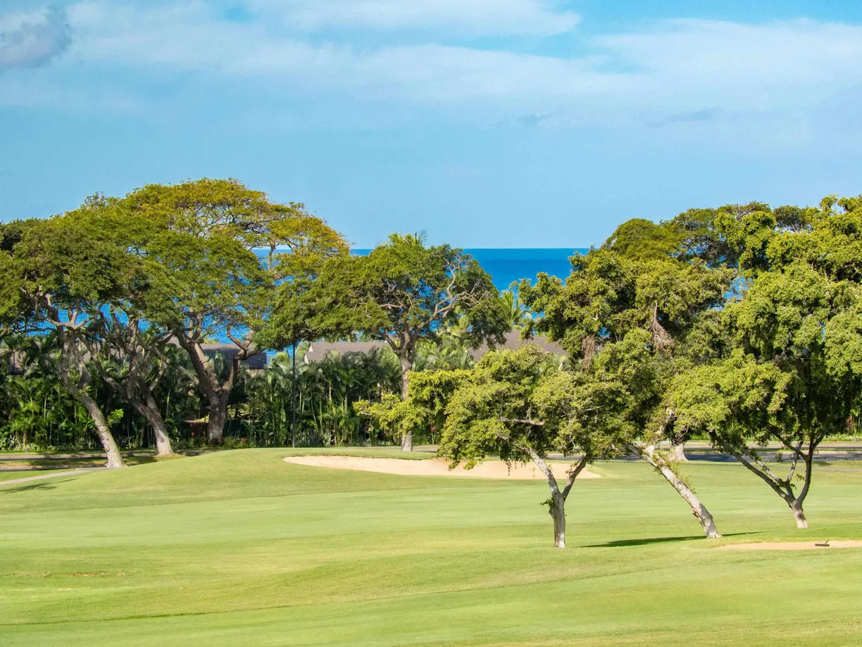 Hawaii Real Estate | View 155 Wailea Ike Pl, 145 | Listing