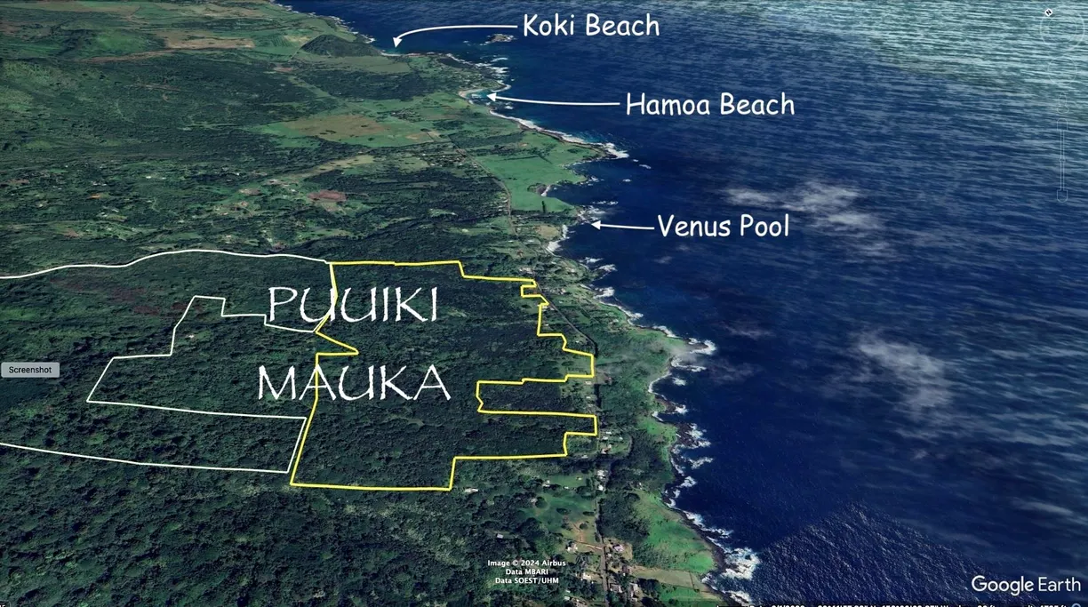 Hawaii Real Estate | View 0 Hana Hwy
