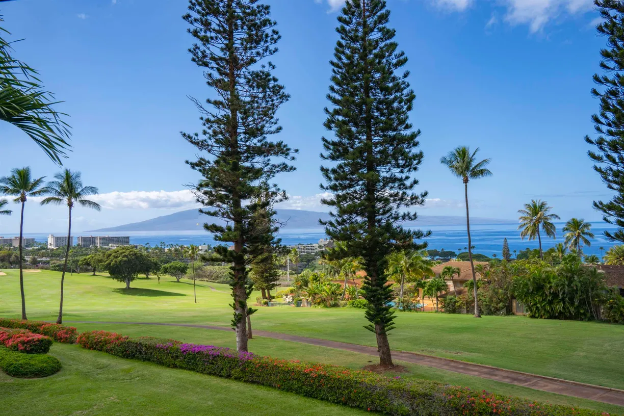 50 Puu Anoano St #1204, Lahaina, HI 96761 Property for sale