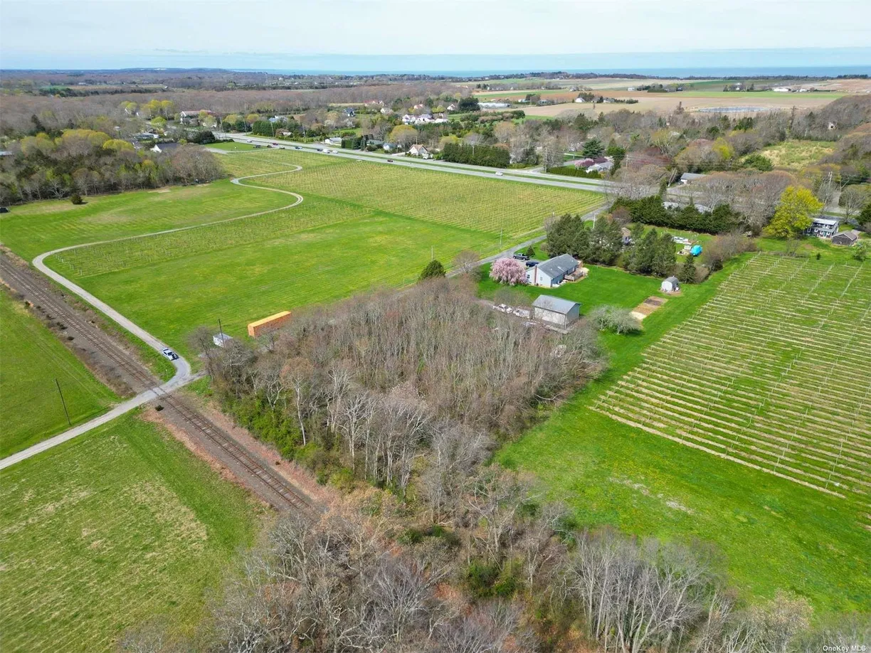 The Hamptons Real Estate | View County Rd 48 | Listing