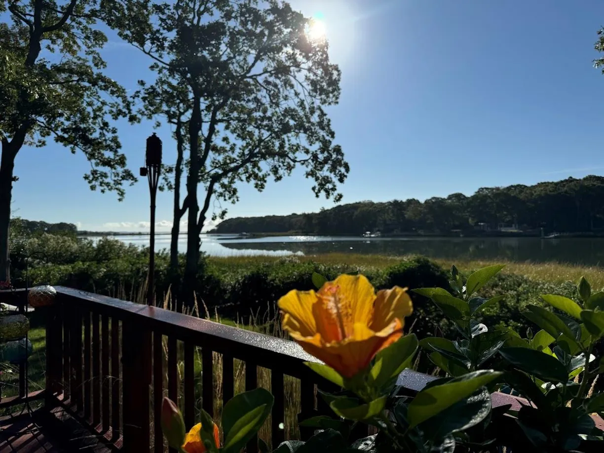 The Hamptons Real Estate | View 3705 Wells Road | Listing