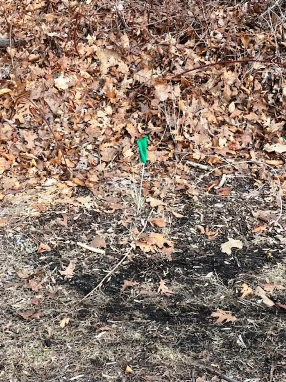Westchester Real Estate | View Lot 7 Mountainside Trail | Listing