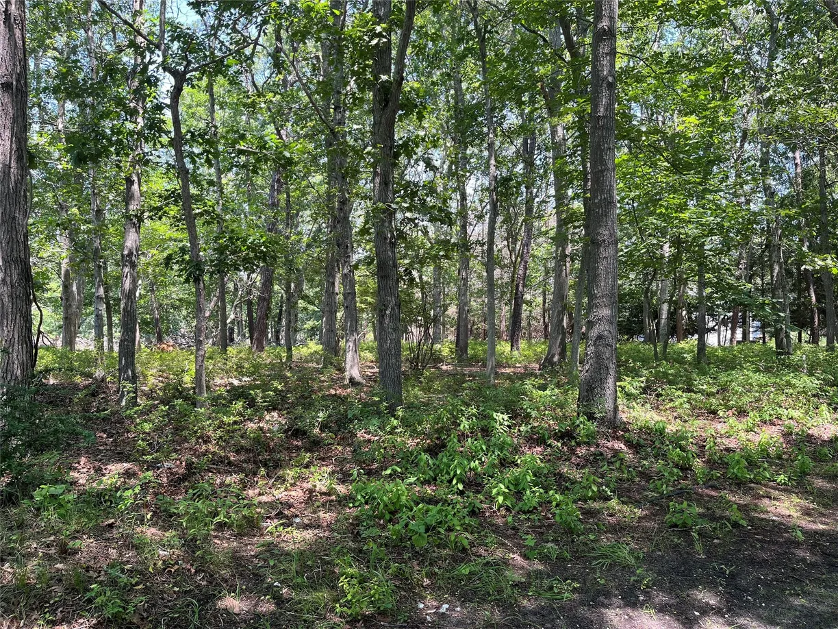 The Hamptons Real Estate | View 75 Montauk Highway | Listing
