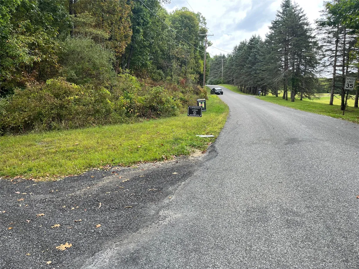 1154 Cold Spring Road Cold Spring Road, Clinton Corners, NY 12514 ...
