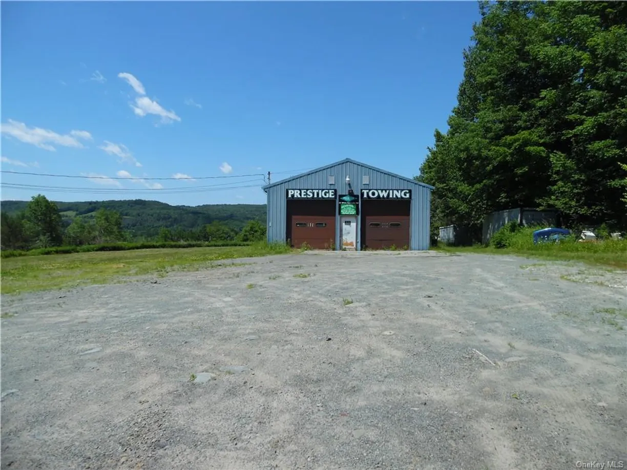 Hudson Valley Real Estate | View 55 White Roe Lake Road