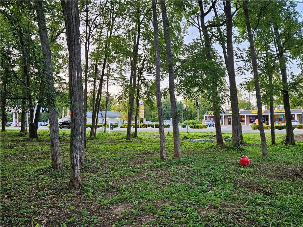 Hudson Valley Real Estate | View 855 NY-376