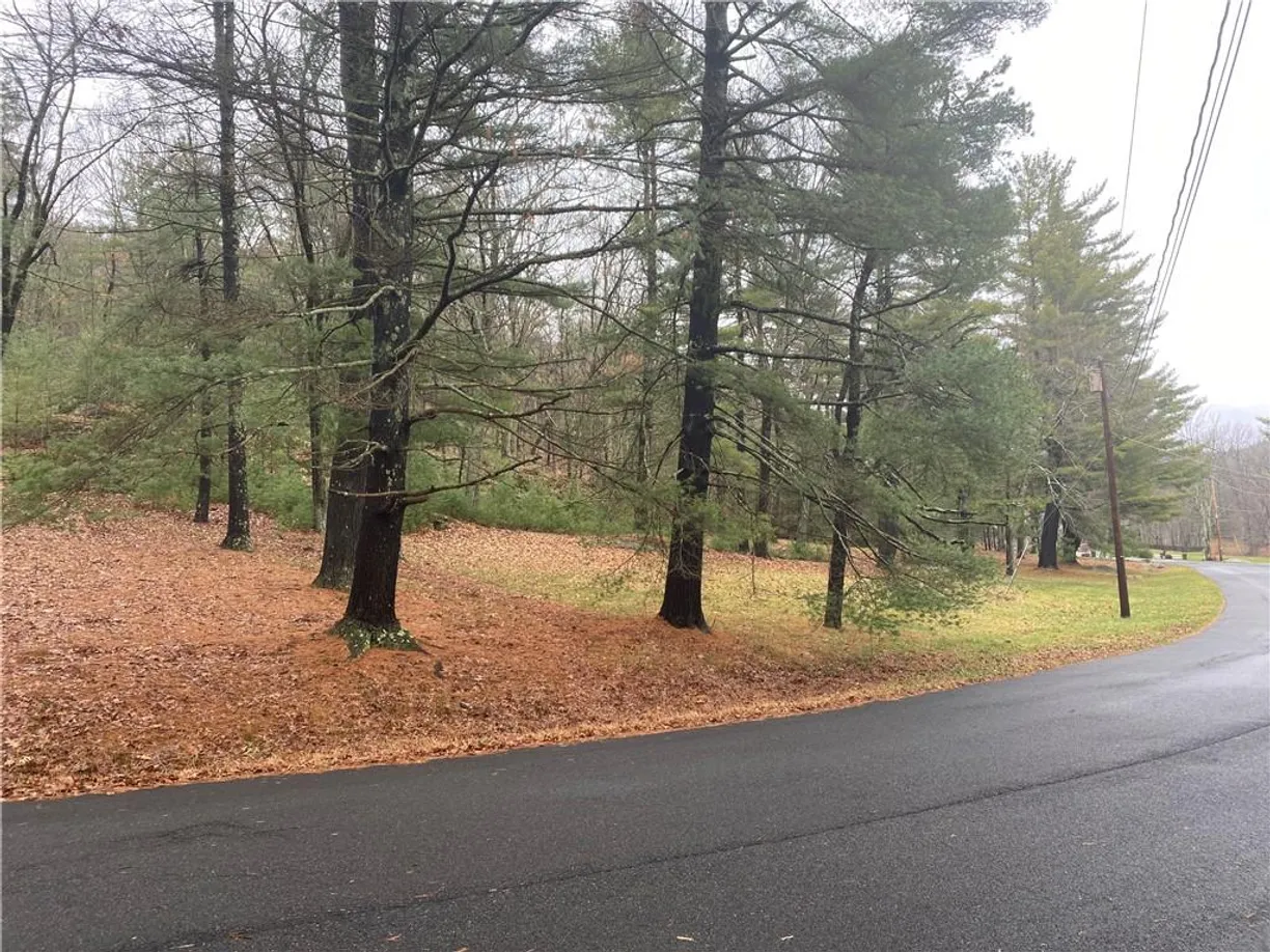 Hudson Valley Real Estate | View Diane Drive | Listing